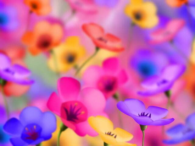 File:Flower.jpg