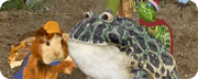 Save the bullfrog save the poodle ywkgb