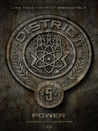 D 5