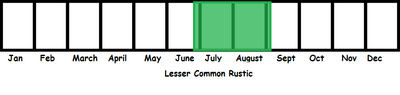 Lesser Common Rustic TL