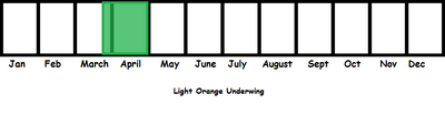 Light Orange Underwing TL