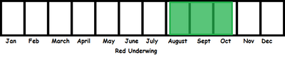 Red Underwing TL