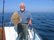 Turbot4