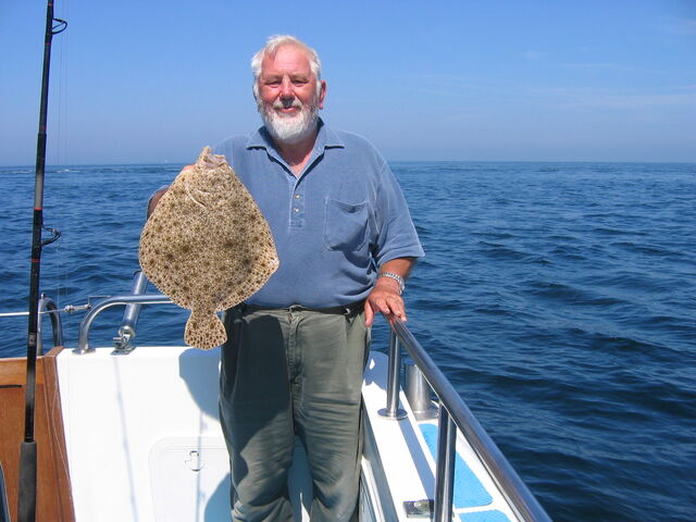 File:Turbot4.jpg