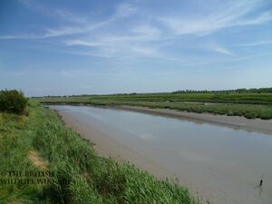 Estuary2