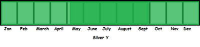 Silver Y TL