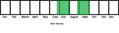 Rest Harrow TL