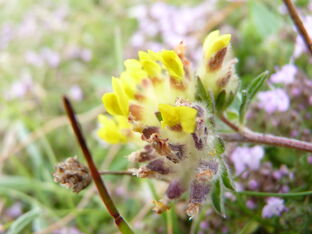 P1200361