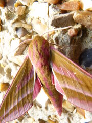 P1150936