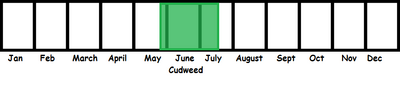 Cudweed TL