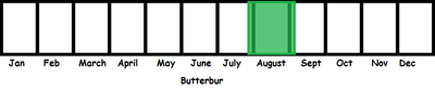 The Butterbur TL