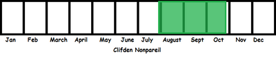 Clifden Nonpareil TL