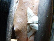 P1140506