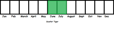 Scalet Tiger TL