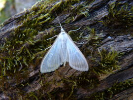 P1180718