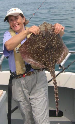 File:Thornback.jpg
