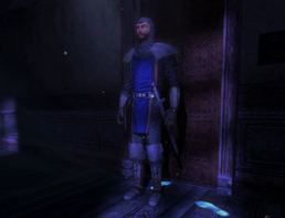 Sword Guard