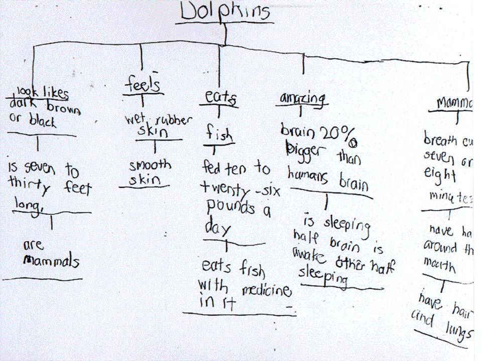 Tree map thinking maps wiki fandom powered by wikia