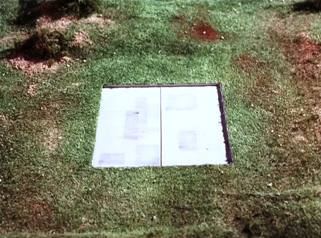 File:Tiny302.png