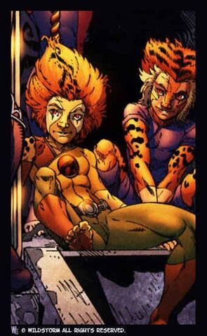 File:WilyCub and WilyCat.jpg