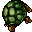 Tortoise