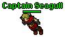 Captain Seagull