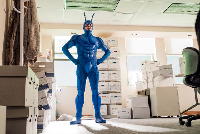 File:Tick body shot.jpg