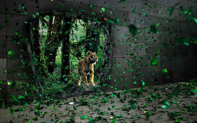 File:Beautiful-tiger-full-hd-wallpaper.jpg
