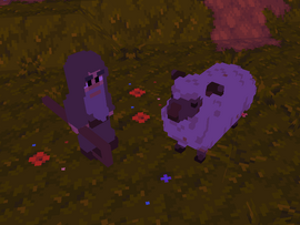Herder and sheep