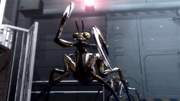 Mantis Terror Bites