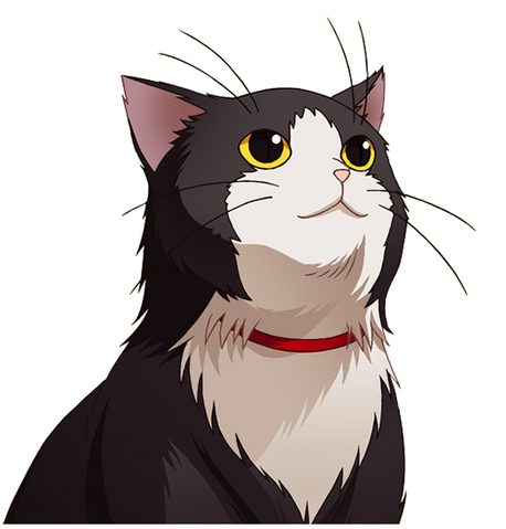 File:Sox2.png