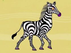 Zebra