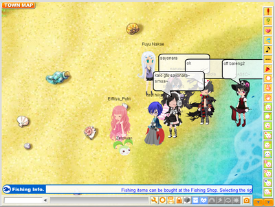 Shallow beach
