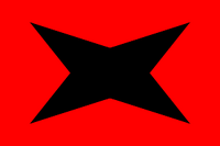 Flag of São Rico