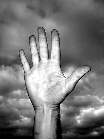 File:Hand.jpg