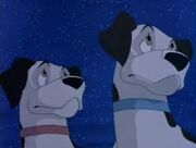 Titanic The Legend goes on Dalmatians