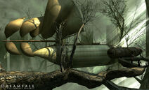 004 img