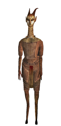 Файл:Самар вид спереди.png