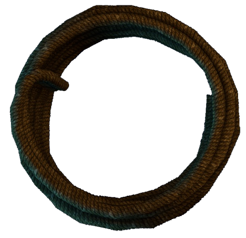 File:Rope (Dreamfall Chapters).png