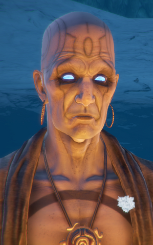 File:Chaptersvagabondportrait.png