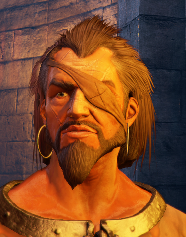 File:Chapterscaptain.png