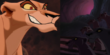 Typ Ziry.png