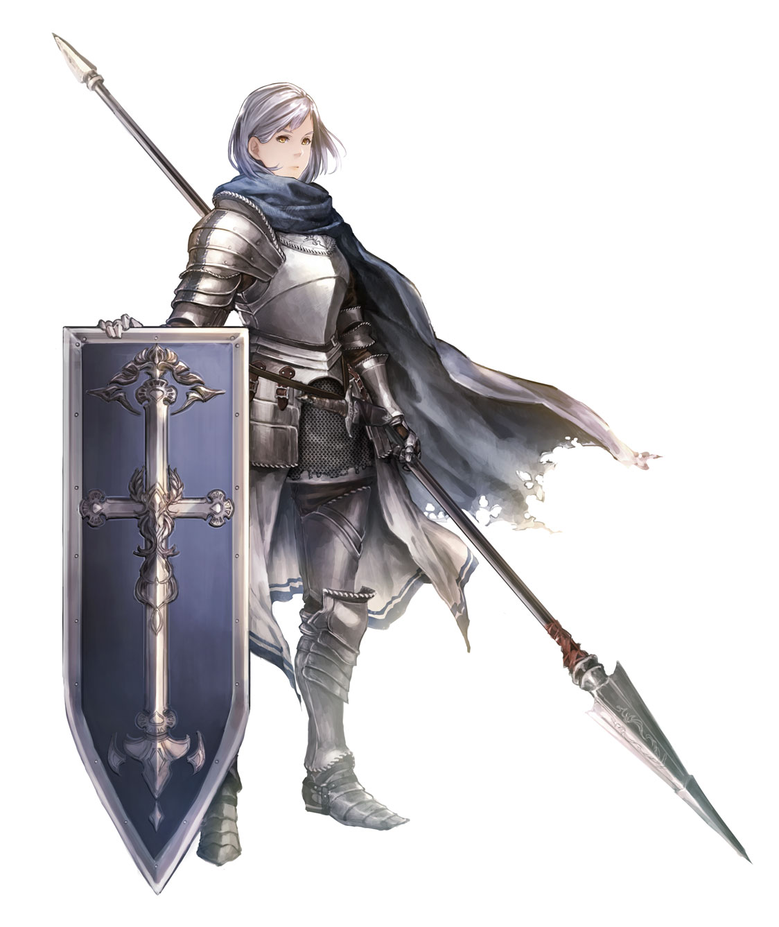 Class - Shield Lancer