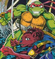 Raph ninjara.jpg