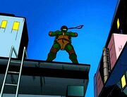 TMNT Meet Casey b
