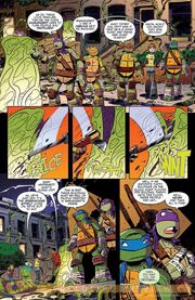 -2 Issue page