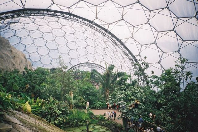File:Eden project tropical biome.jpg