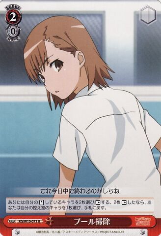 File:Pool Cleaning Card 2.jpg