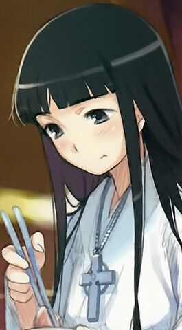 File:Himegami Aisa Novel.jpg