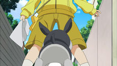 Maon Cameo